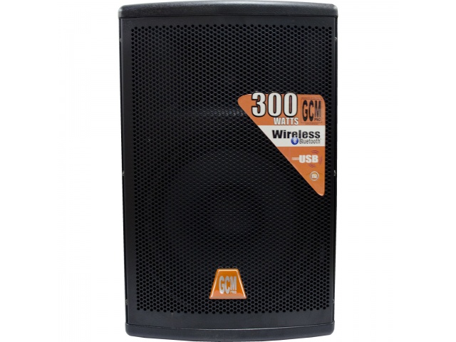 Caja Activa 12 Pulgadas